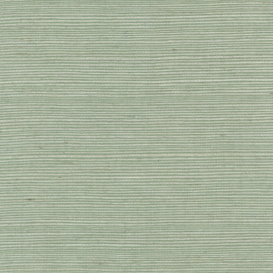 Lillian August Lillian August Grasscloth Binder Sisal Grasscloth Contemporary Green Satin  - LN11834