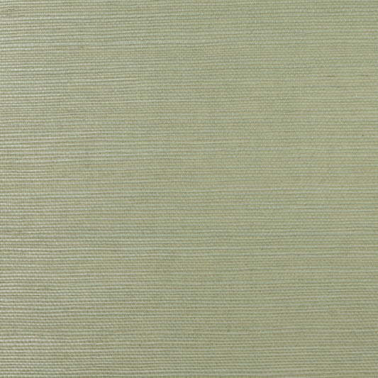 Lillian August Lillian August Grasscloth Binder Sisal Grasscloth Contemporary Green Satin Sidewall - LN11834