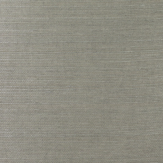 Lillian August Lillian August Grasscloth Binder Sisal Grasscloth Contemporary Silver Metallic Sidewall - LN11845