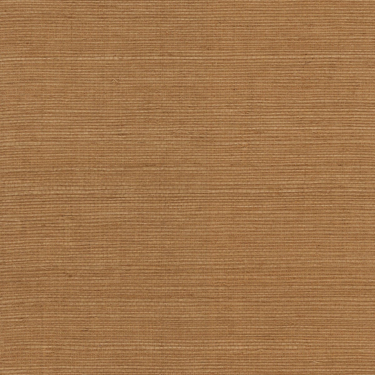 Lillian August Luxe Retreat Sisal Grasscloth Grasscloth Coastal Beige Satin Sidewall - LN11846