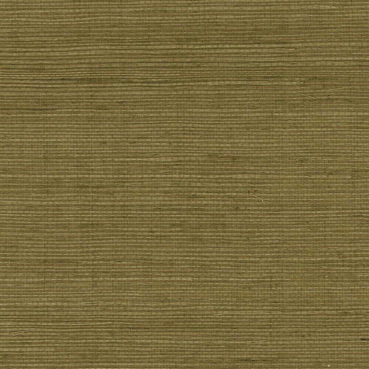 Lillian August Luxe Retreat Sisal Grasscloth Grasscloth Coastal Green Satin Sidewall - LN11854