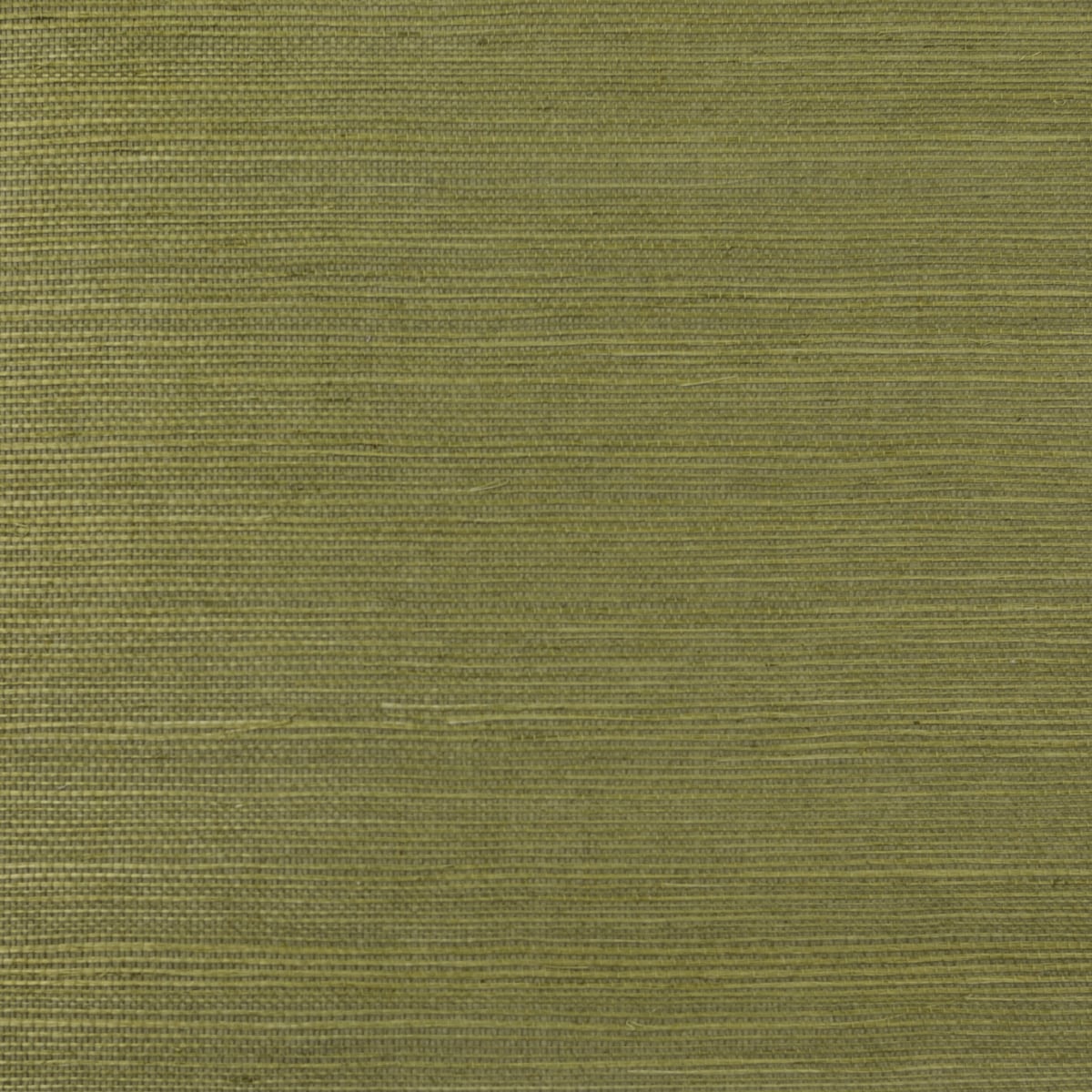 Lillian August Lillian August Grasscloth Binder Sisal Grasscloth Contemporary Green Satin Sidewall - LN11854