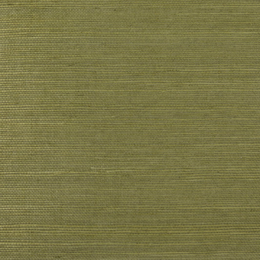 Lillian August Lillian August Grasscloth Binder Sisal Grasscloth Contemporary Green Satin Sidewall - LN11854