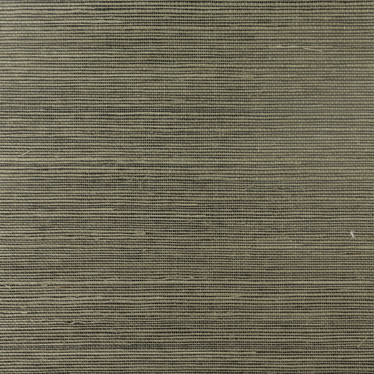 Lillian August Lillian August Grasscloth Binder Sisal Grasscloth Contemporary Green Satin Sidewall - LN11870