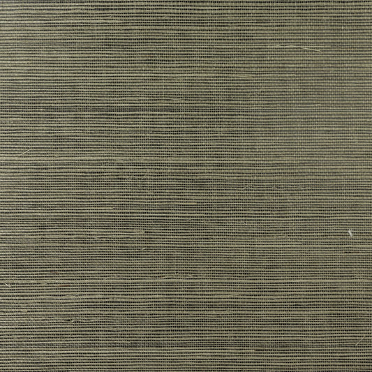 Lillian August Lillian August Grasscloth Binder Sisal Grasscloth Contemporary Green Satin Sidewall - LN11870