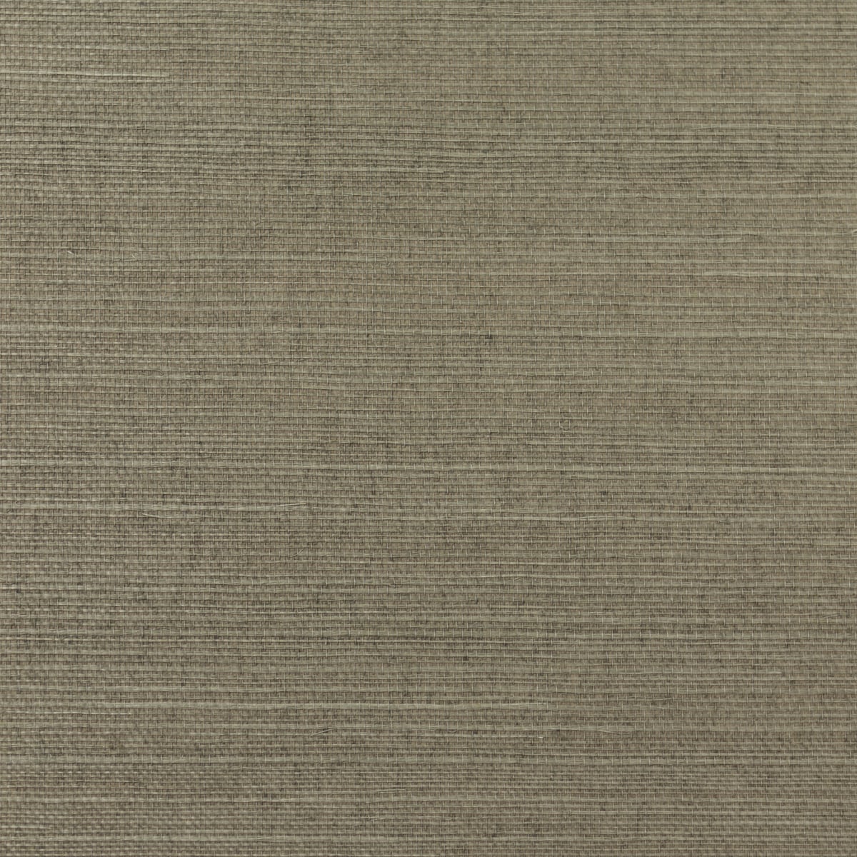 Lillian August Lillian August Grasscloth Binder Sisal Grasscloth Contemporary Beige Satin Sidewall - LN11871