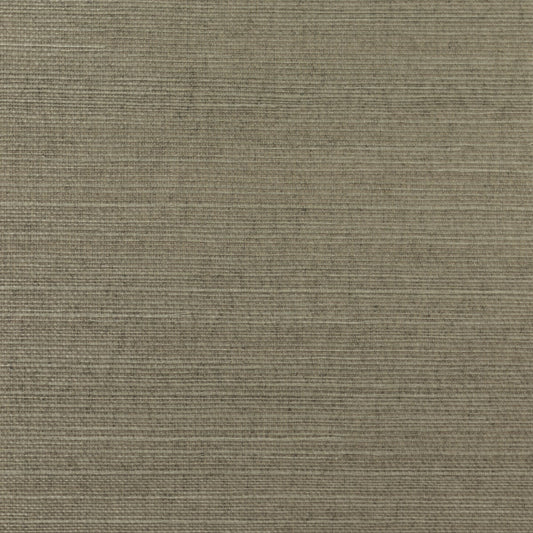 Lillian August Lillian August Grasscloth Binder Sisal Grasscloth Contemporary Beige Satin Sidewall - LN11871