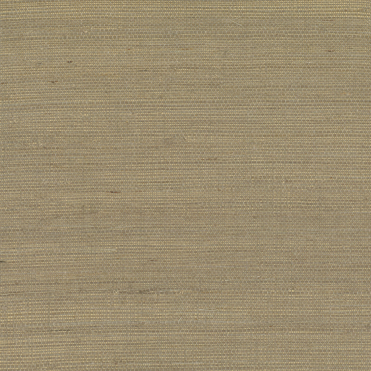 Lillian August Lillian August Grasscloth Binder Sisal Grasscloth Contemporary Tan Satin Sidewall - LN11872