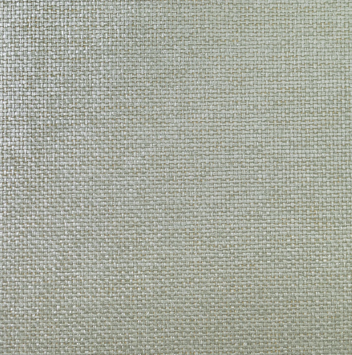 Lillian August Lillian August Grasscloth Binder Paperweave Grasscloth Contemporary Silver Metallic Sidewall - LN11878