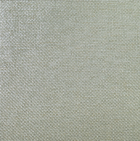 Lillian August Lillian August Grasscloth Binder Paperweave Grasscloth Contemporary Silver Metallic Sidewall - LN11878