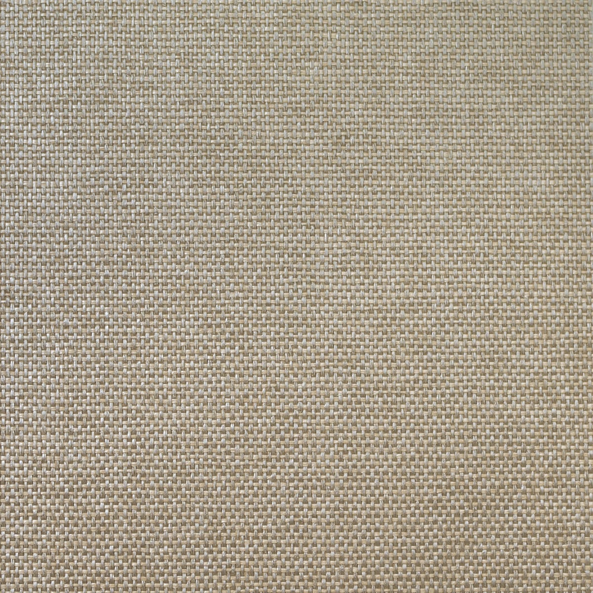 Lillian August Lillian August Grasscloth Binder Paperweave Grasscloth Contemporary Silver Metallic Sidewall - LN11880