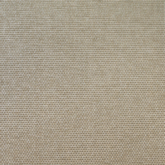 Lillian August Lillian August Grasscloth Binder Paperweave Grasscloth Contemporary Silver Metallic Sidewall - LN11880