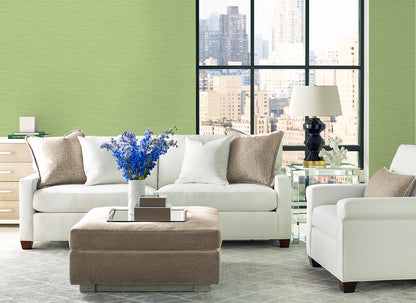 Lillian August Coastal Haven Tiger Island Faux Sisal Faux Grasscloth Coastal Green Matte  - LN40404