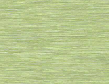 Lillian August Coastal Haven Tiger Island Faux Sisal Faux Grasscloth Coastal Green Matte  - LN40404
