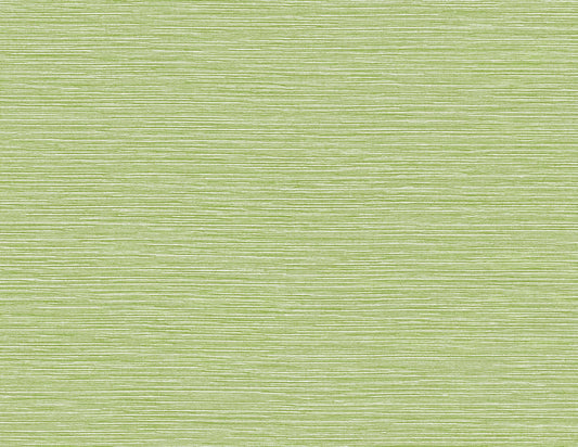 Lillian August Coastal Haven Tiger Island Faux Sisal Faux Grasscloth Coastal Green Matte Sidewall - LN40404