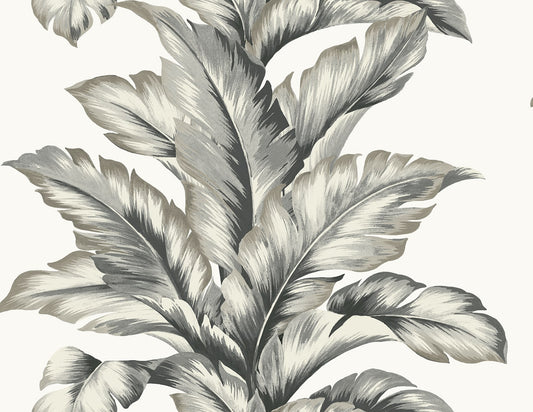 Lillian August Coastal Haven Banana Springs Botanical Coastal Grey Matte Sidewall - LN40600