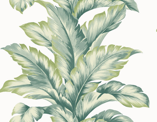 Lillian August Coastal Haven Banana Springs Botanical Coastal Green Matte Sidewall - LN40604