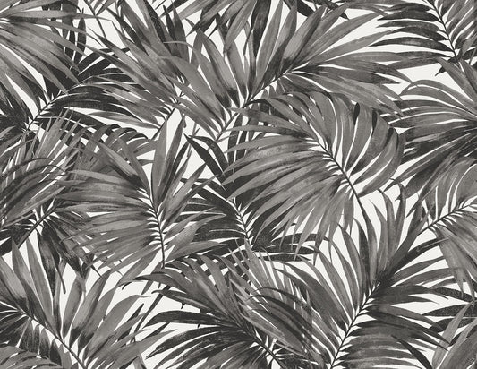 Lillian August Coastal Haven Cordelia Tossed Palms Botanical Coastal Black Matte Sidewall - LN40700