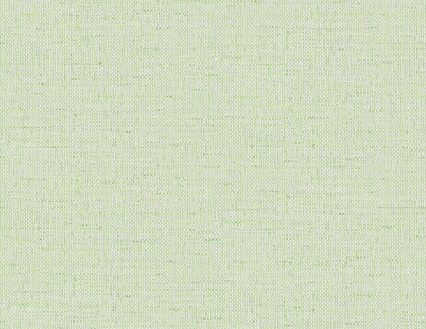 Lillian August Coastal Haven Kaya Faux Paperweave Faux Grasscloth Coastal Green Matte Sidewall - LN41304