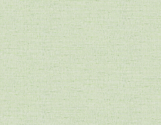 Lillian August Coastal Haven Kaya Faux Paperweave Faux Grasscloth Coastal Green Matte Sidewall - LN41304