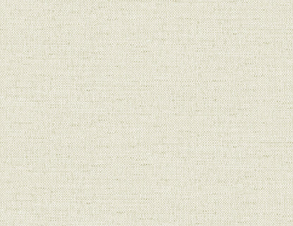 Lillian August Coastal Haven Kaya Faux Paperweave Faux Grasscloth Coastal Beige Matte  - LN41305