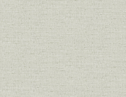 Lillian August Coastal Haven Kaya Faux Paperweave Faux Grasscloth Coastal Grey Matte  - LN41307