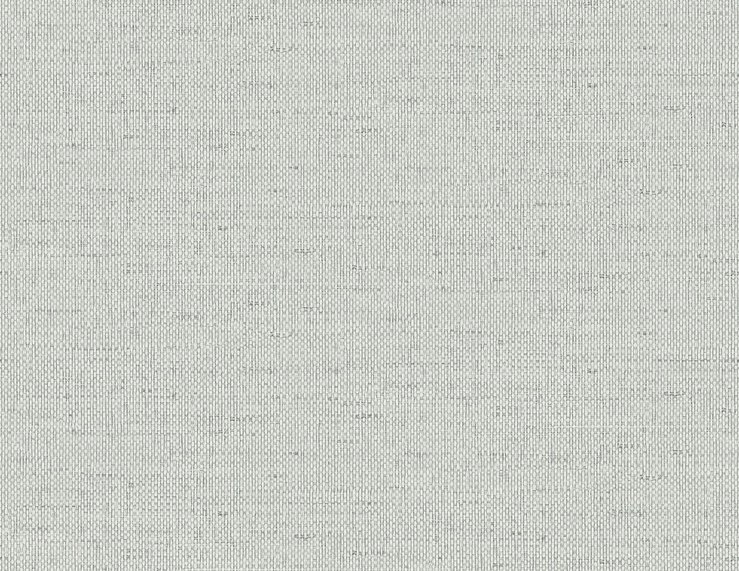 Lillian August Coastal Haven Kaya Faux Paperweave Faux Grasscloth Coastal Grey Matte Sidewall - LN41308