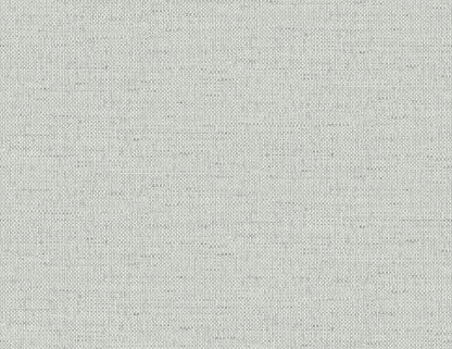 Lillian August Coastal Haven Kaya Faux Paperweave Faux Grasscloth Coastal Grey Matte  - LN41308