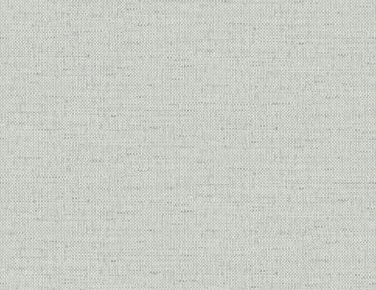 Lillian August Coastal Haven Kaya Faux Paperweave Faux Grasscloth Coastal Grey Matte Sidewall - LN41308