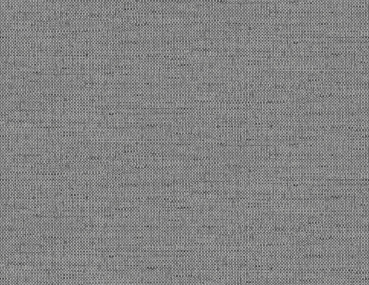 Lillian August Coastal Haven Kaya Faux Paperweave Faux Grasscloth Coastal Grey Matte Sidewall - LN41310