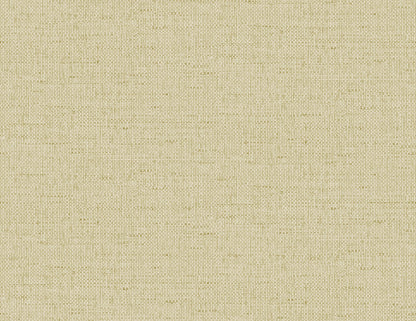 Lillian August Coastal Haven Kaya Faux Paperweave Faux Grasscloth Coastal Beige Matte  - LN41313
