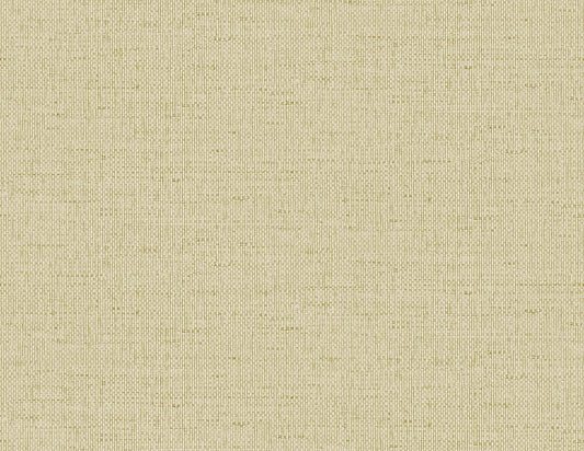 Lillian August Coastal Haven Kaya Faux Paperweave Faux Grasscloth Coastal Beige Matte Sidewall - LN41313