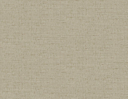 Lillian August Coastal Haven Kaya Faux Paperweave Faux Grasscloth Coastal Tan Matte  - LN41316