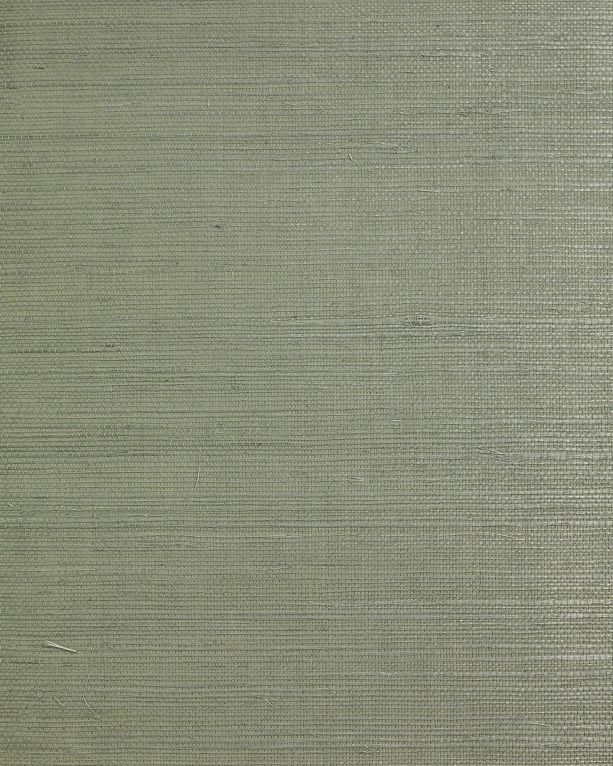 Lillian August Lillian August Natural Textured Wallcoverings 2 Regular Weave Sisal Grasscloth Contemporary Greens Satin Sidewall - LN50025