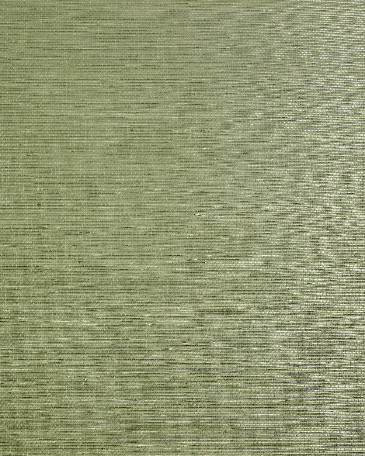 Lillian August Lillian August Natural Textured Wallcoverings 2 Sisal Grasscloth Contemporary Greens Satin Sidewall - LN50028