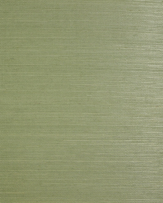 Lillian August Lillian August Natural Textured Wallcoverings 2 Sisal Grasscloth Contemporary Greens Satin Sidewall - LN50028