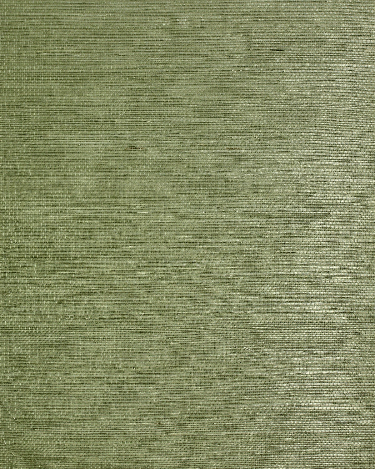 Lillian August Lillian August Natural Textured Wallcoverings 2 Sisal Grasscloth Contemporary Greens Satin Sidewall - LN50030