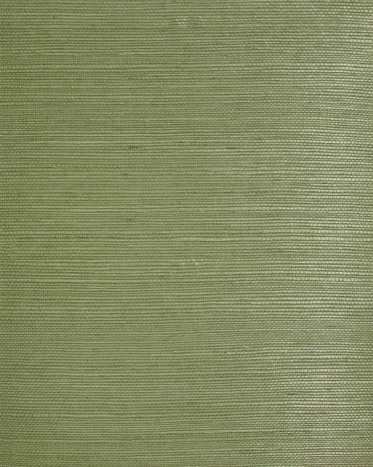 Lillian August Lillian August Natural Textured Wallcoverings 2 Sisal Grasscloth Contemporary Greens Satin Sidewall - LN50030