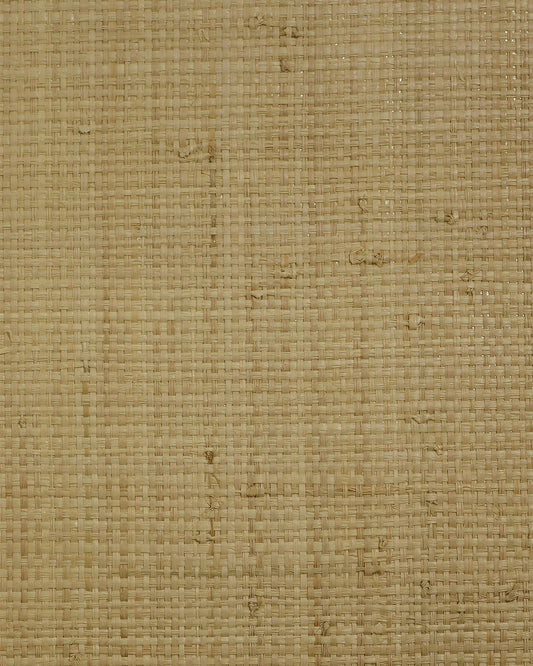 Lillian August Lillian August Natural Textured Wallcoverings 2 Raffia (100%) Grasscloth Contemporary Warm Neutrals & Beiges Satin Sidewall - LN50040