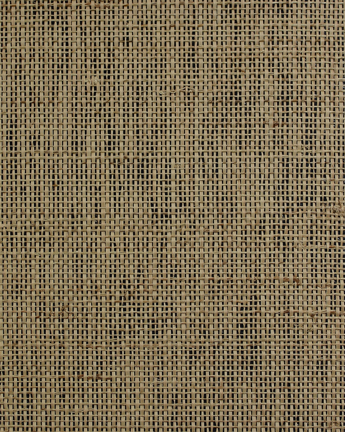 Lillian August Lillian August Natural Textured Wallcoverings 2 Raw Jute Grasscloth Contemporary Warm Neutrals & Beiges Satin Sidewall - LN50086