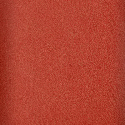 KRAVET DESIGN VINYL/FAUX LEATHER TEXTURE RUST,RUST,   - LORIS.124.0