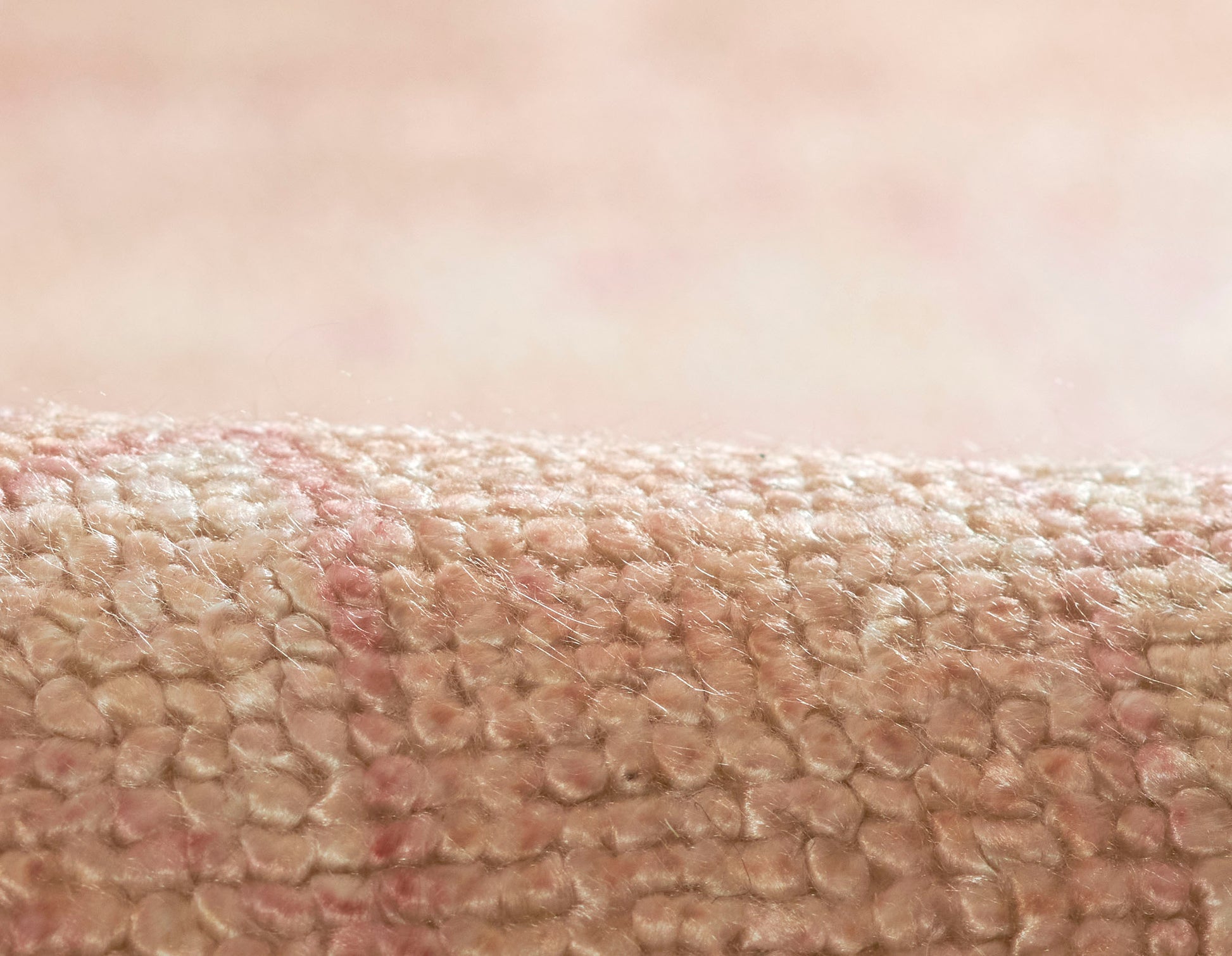 Close-up of pink rug texture with a soft, pebbled surface and tiny rounded bumps.