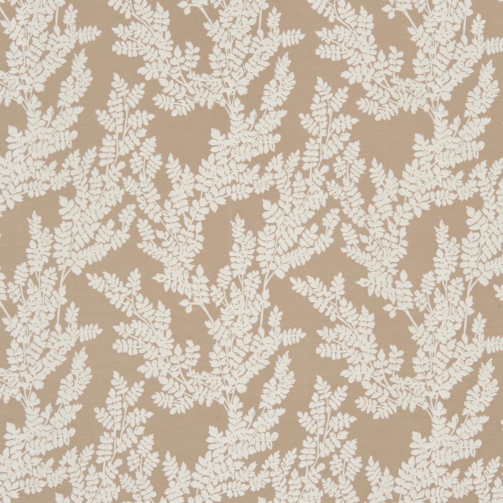Beige jacquard fabric with a white floral pattern.