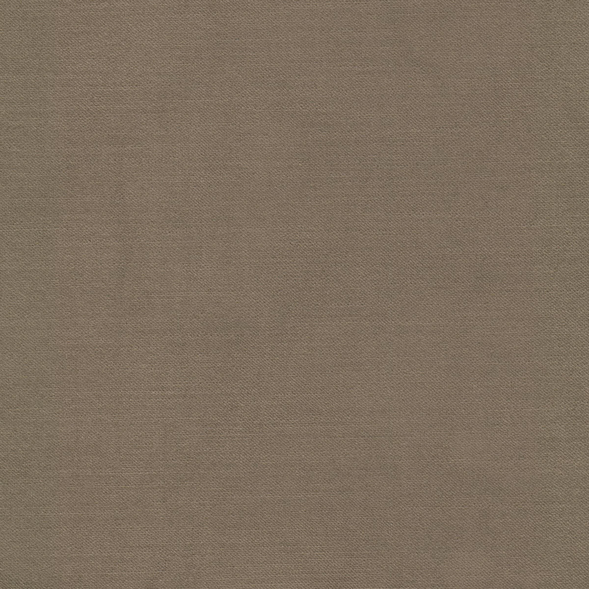 STOUT TEXTILES  UPHOLSTERY,VELVET TRADITIONAL, SOLID BUTTERUM,TOFFEE   - LUXO-10