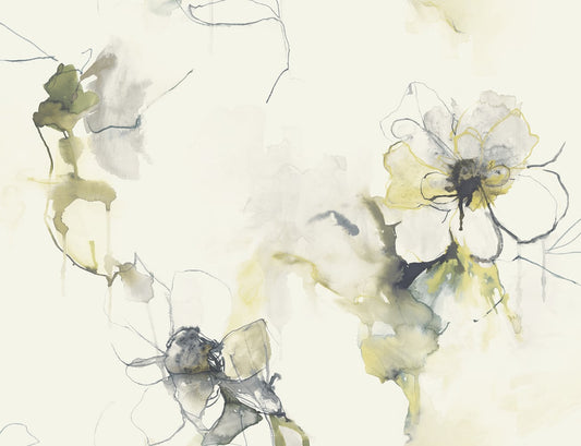 Seabrook Designs Living with Art Anemone Watercolor Floral Floral Contemporary Grey Matte Sidewall - LW50007