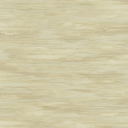 Seabrook Designs Living with Art Stria Wash Abstract Contemporary Beige Matte  - LW51406