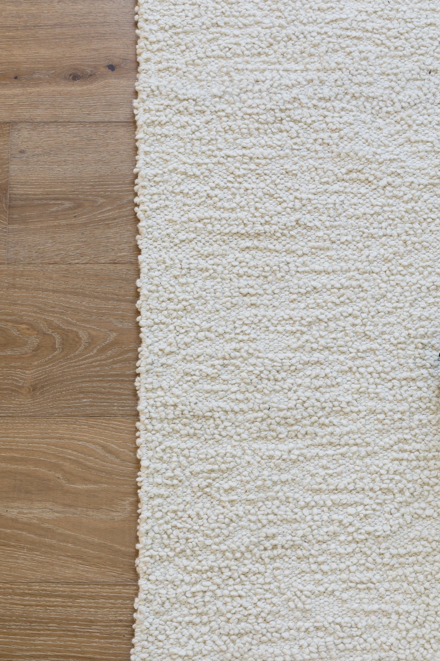 Ivory shag rug with plush loop texture on light wood floor; rectangular, cozy modern area rug.