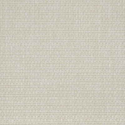 KRAVET DESIGN INDOOR / OUTDOOR TEXTURE WHITE,WHITE,   - LZ-30346.07.0