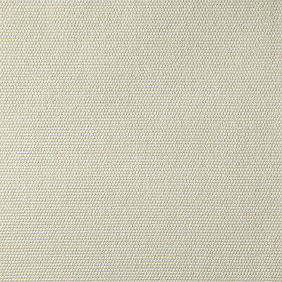 KRAVET DESIGN INDOOR / OUTDOOR TEXTURE IVORY,WHITE,IVORY   - LZ-30398.07.0