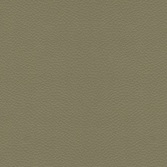 NICHOLASJOHN INC NJ-LONE Truffle    Fabric - NJ25-1891